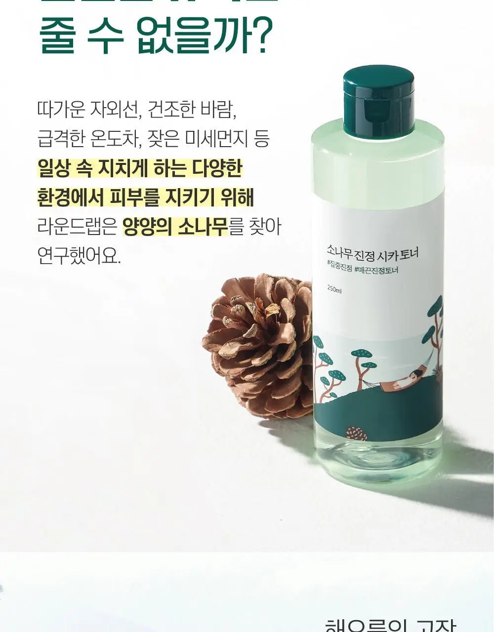 [민감진정] 라운드랩 소나무 진정 시카 토너 250ml 상세페이지 4